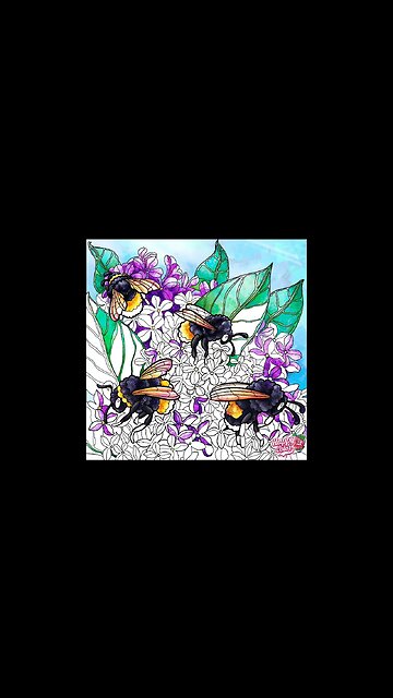 Lilac fields #shorts