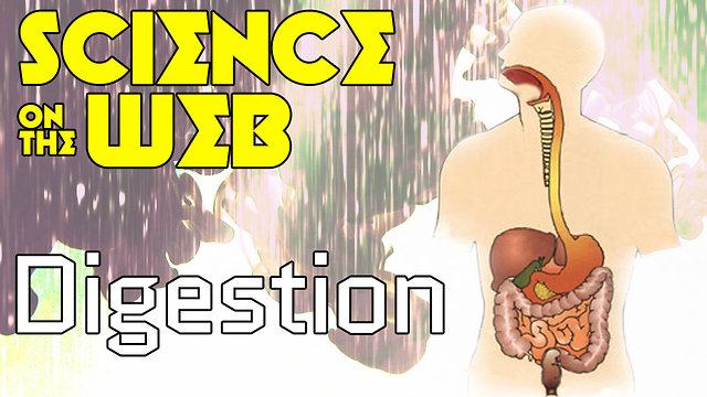 Stuff to Blow Your Mind: Science on the Web: Digestion