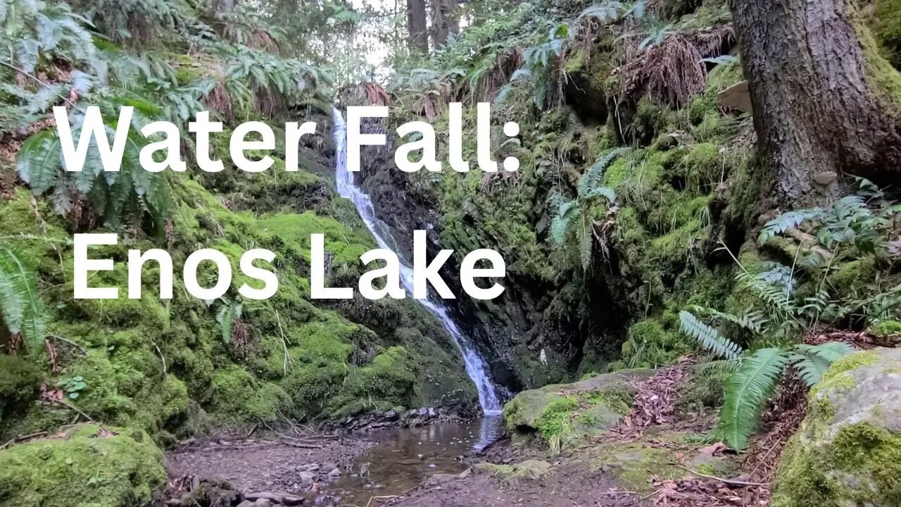 Enos Lake Park Falls is the best for relaxation, yoga, meditation, reading, sleep, studying.