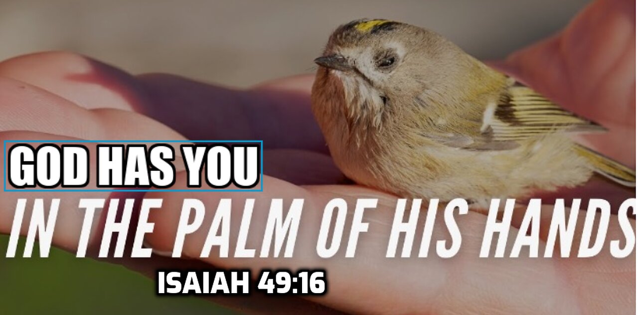 God has you in the palm of His hands - The Word for today