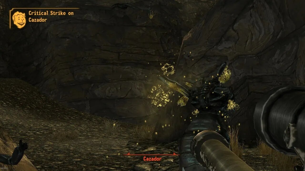 New Vegas Hunting
