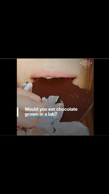 Klaus Analswab wants you to eat lab grown chocolate