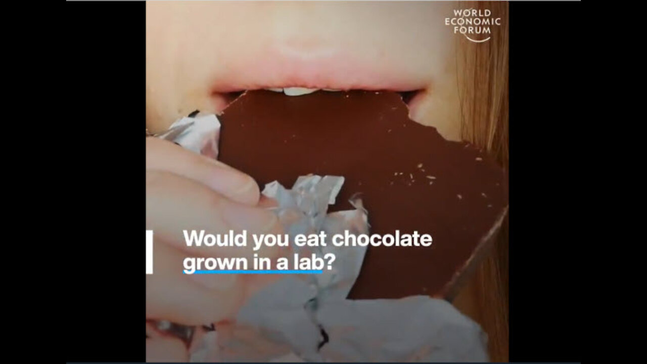 Klaus Analswab wants you to eat lab grown chocolate