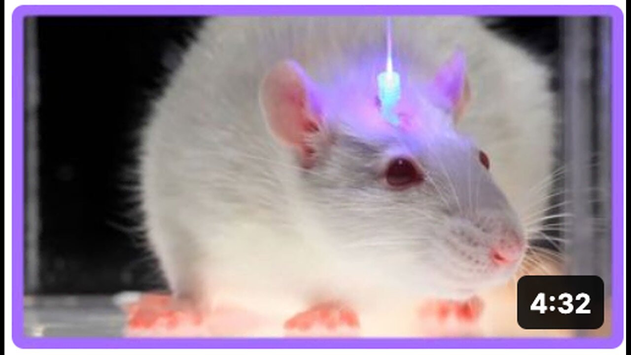 Optogenetics and the Secret Worldwide Nanotech Experiment | Greg Reese