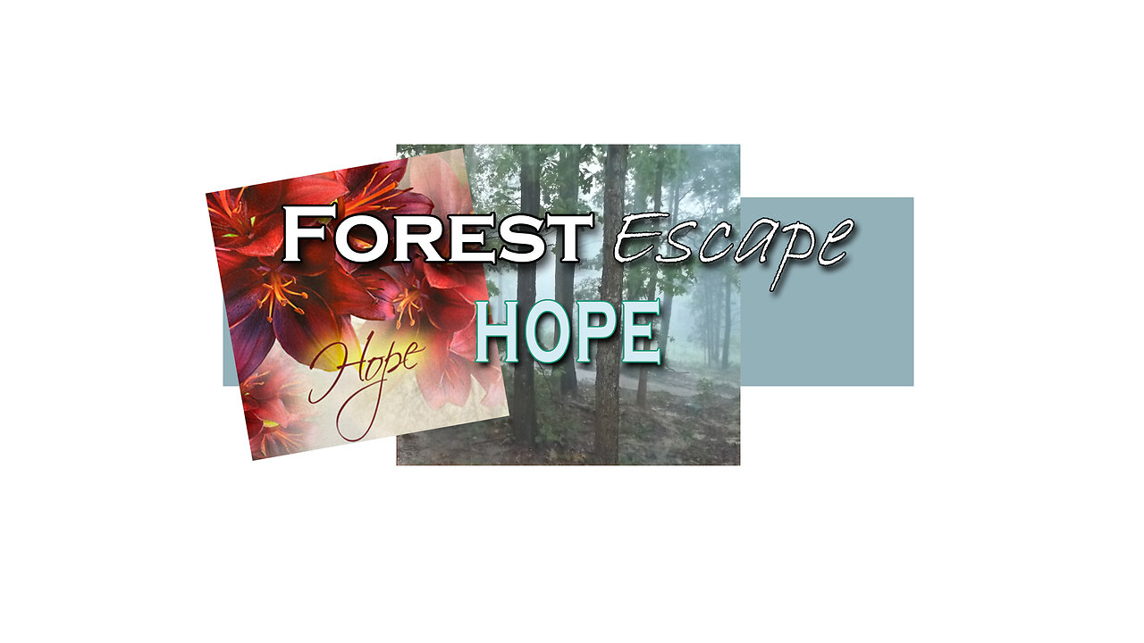 Forest Escape Plants, Deer, and When We All Get to Heaven