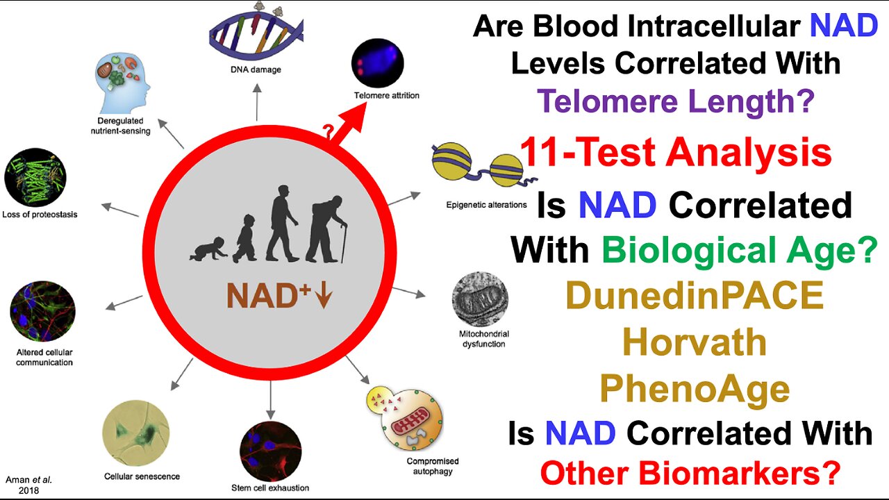 Is NAD Correlated With Telomere Length, Biological Age, Or Other Biomarkers?