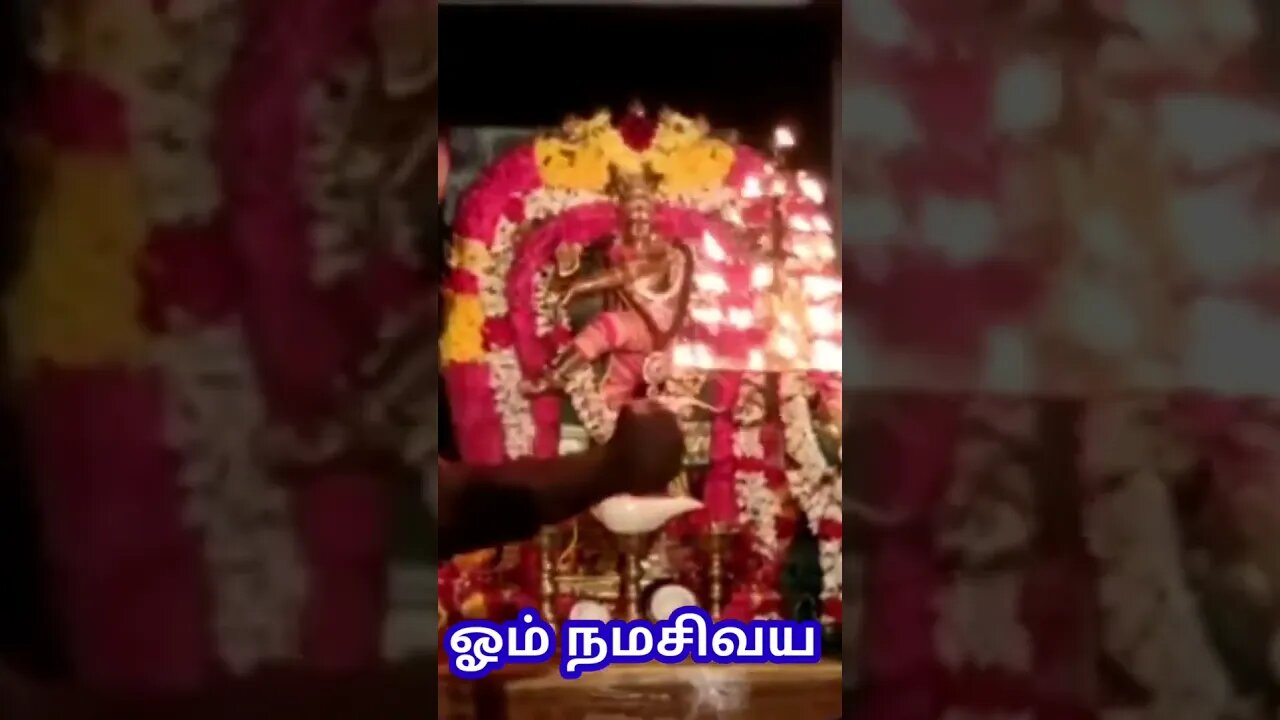 காண கிடைக்காத ஆருத்ரா தரிசனம் God Shiva #shorts #shivan #devotional