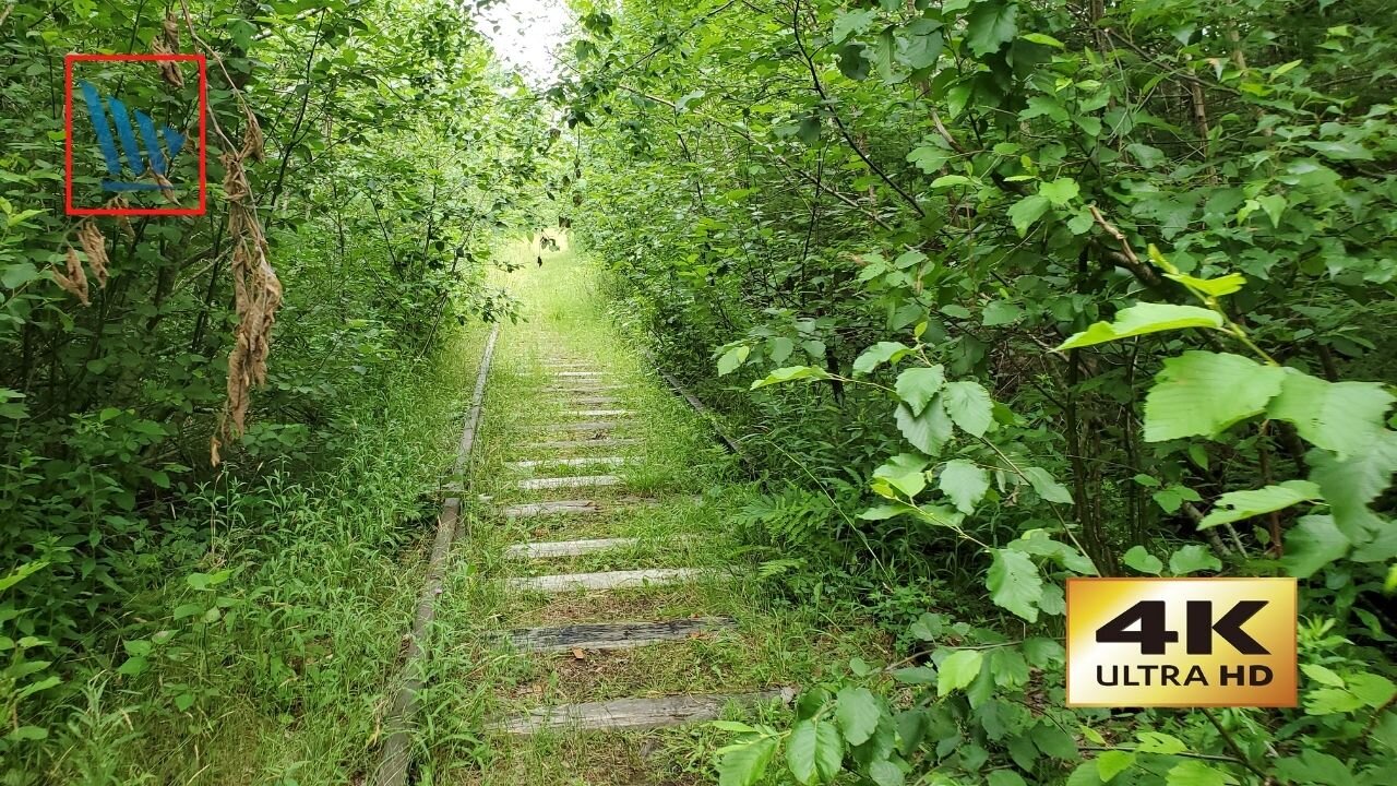 Abandoned Tracks - 4K Hike