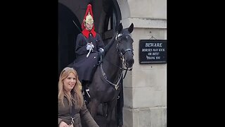 Horse scares her #horseguardsparade