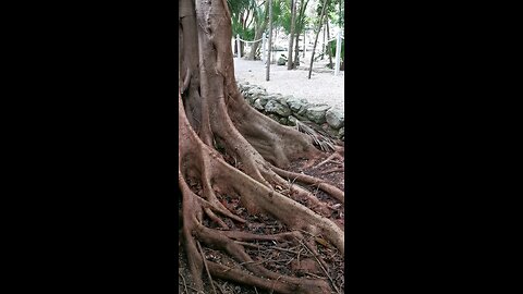 vacation time in Grand Palladium white sand beach