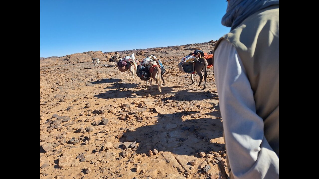 Donkeys & Drivers on the Plateau