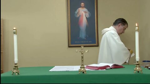 Live Daily Holy Mass with Fr. Frank Pavone