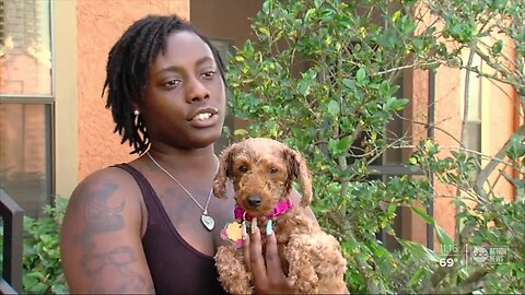 Animal shelters putting new safeguards in place to prevent pet flipping