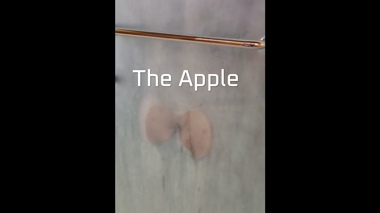 Burnik.mp4