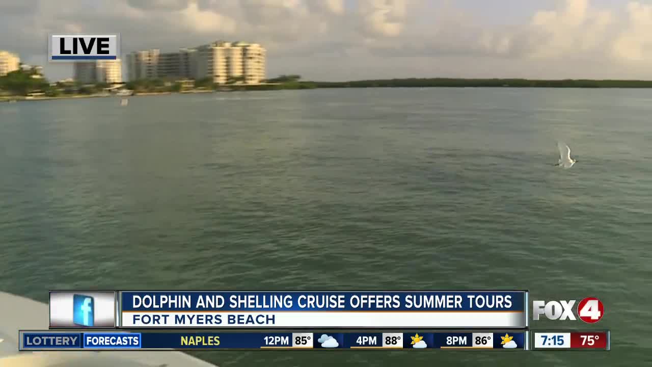 Island Time Dolphin and Shelling Cruises run private tours out of Fort Myers Beach