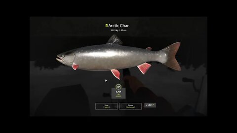 Russian Fishing 4 Kuori lake Arctic Char 5.013 Kg