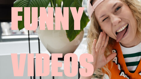 Having a Day? These Funny Pet Videos Might Just Brighten Your Mood