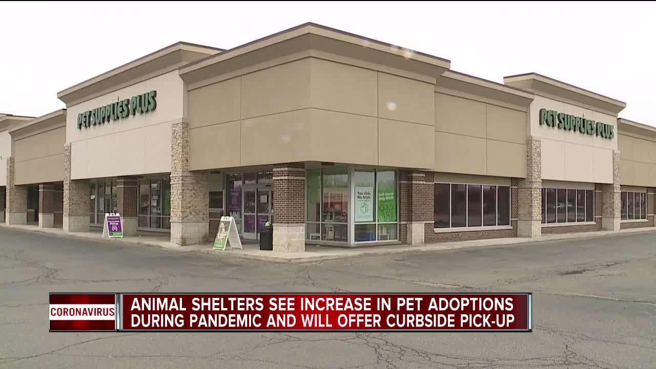 Local shelters report surge in pet adoptions, fostering