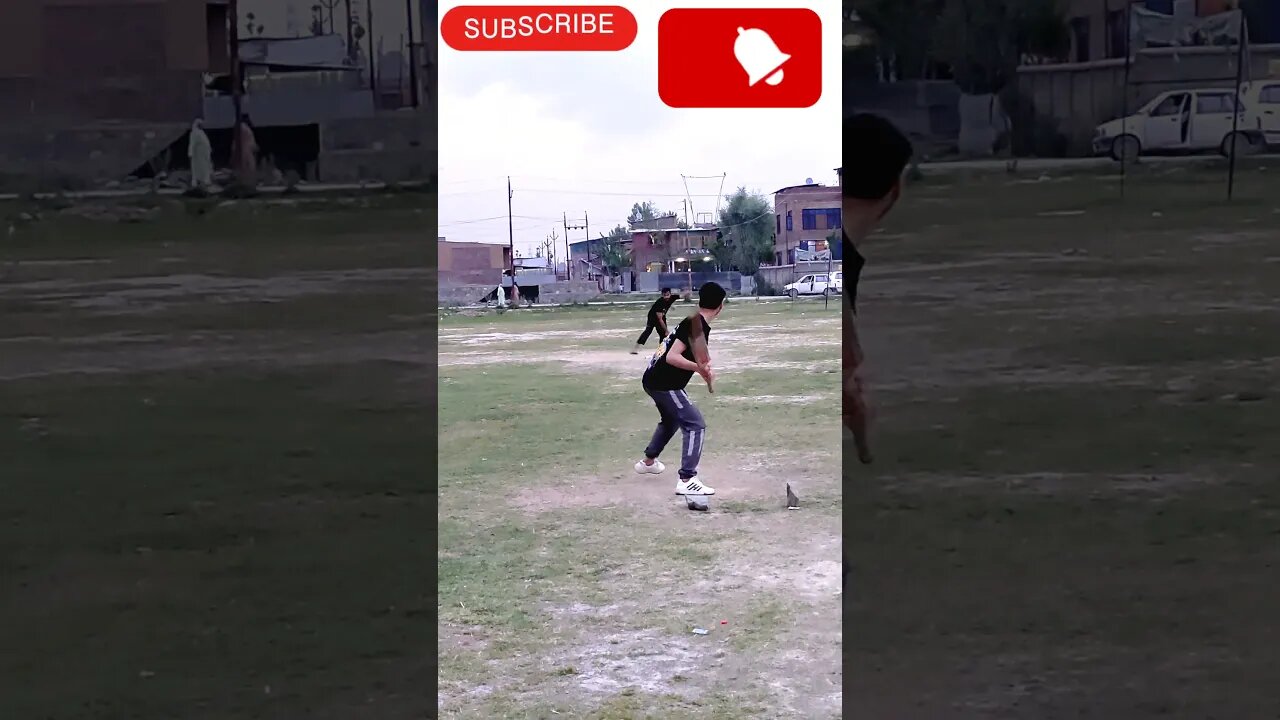 #cricket #crickethighlights #cricketlover #shorts