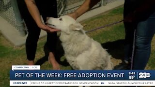 Pet of the Week: Free adoption event