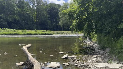 Beautiful tranquillity of James Gardens Toronto