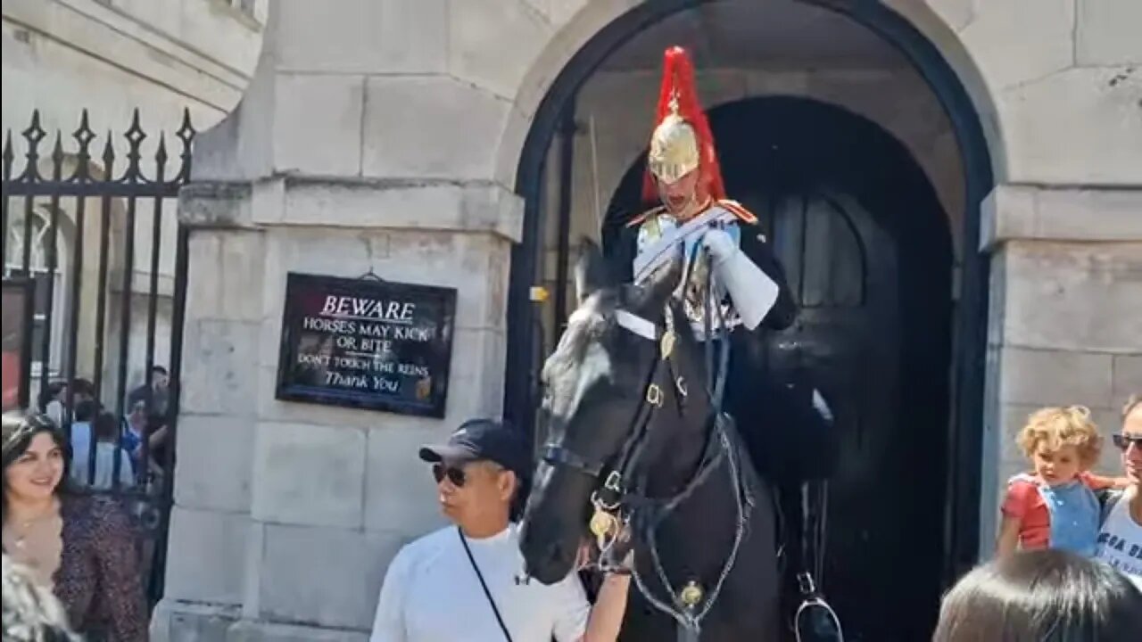 GET BACK DO NOT TOUCH THE REINS #horseguardsparade
