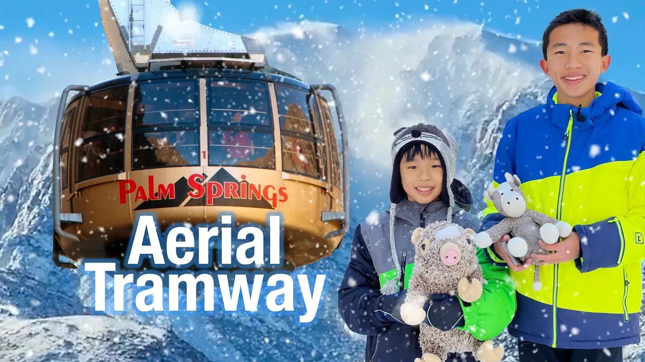 Palm Springs Aerial Tramway 2023 Travel Tips + Sledding at Mount San Jacinto State Park