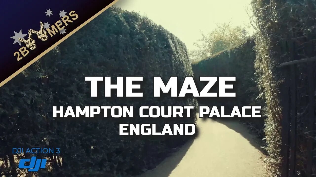 THE MAZE AT HAMPTON COURT PALACE ENGLAND