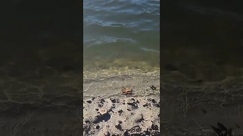 relaxing water