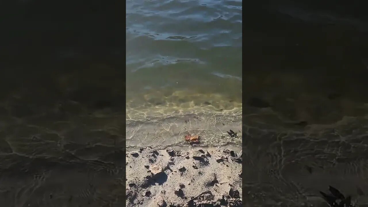 relaxing water
