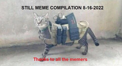 Still Meme Compilation 8-16-2022