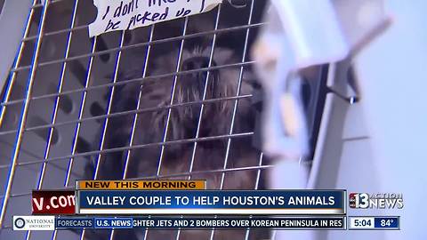 Vegas couple driving to Houston to help victim's animals