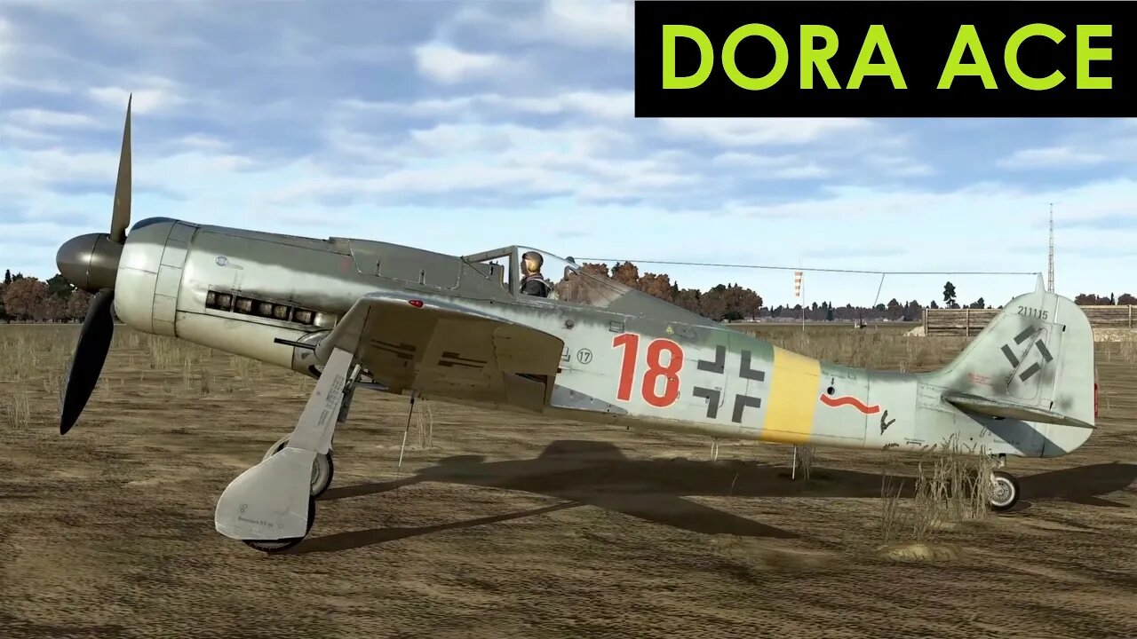 FW190D-9 DORA ACE IN A FLIGHT (IL-2)