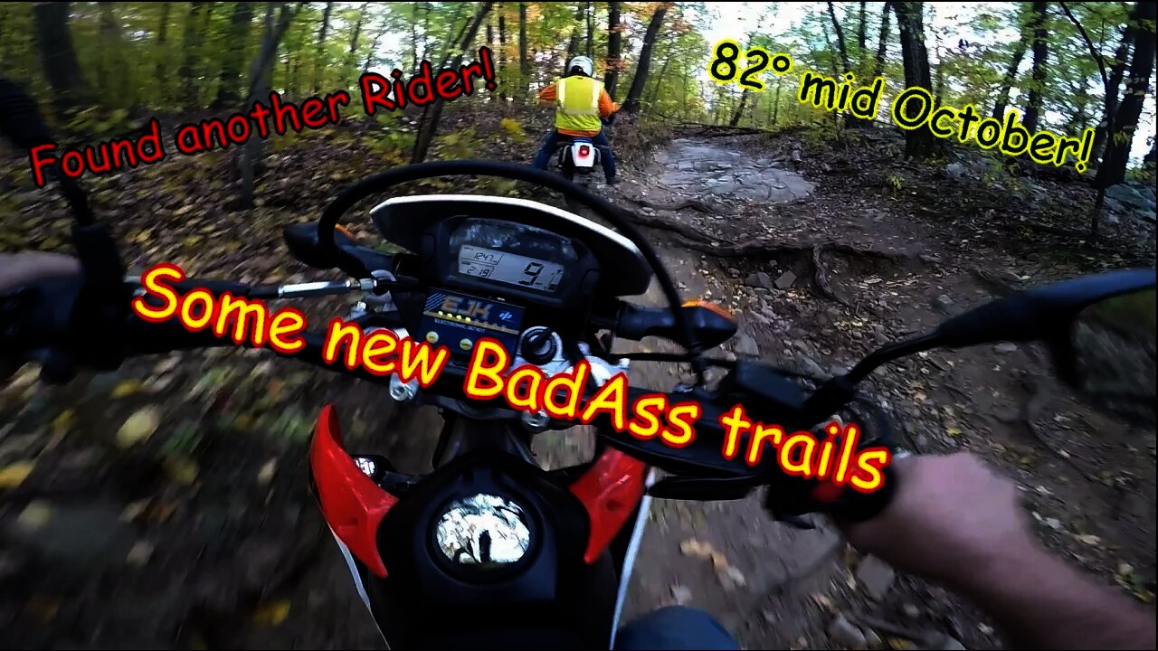 Suzuki DR350 CRF250l, 82 degrees in October! Explore some new trails, met another rider.