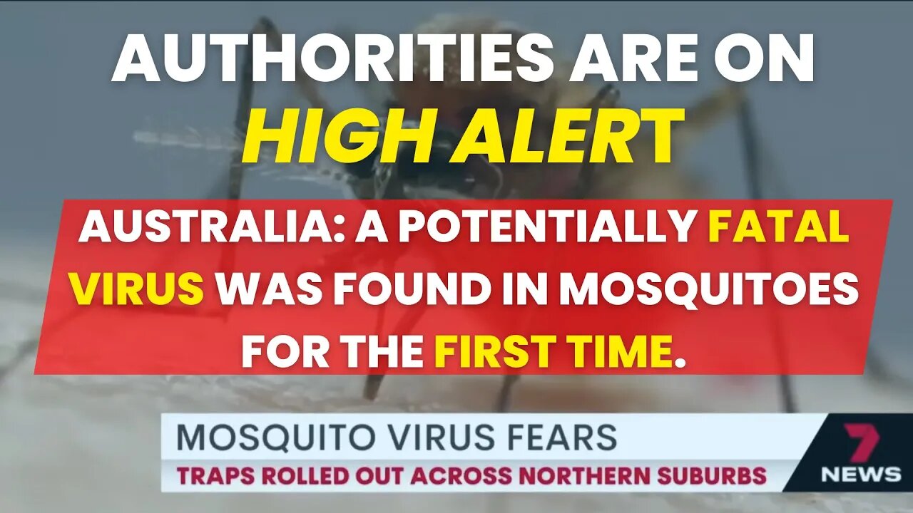 A Potentially DEADLY Mosquito Borne Virus Has Reached Adelaide