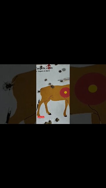 15.7gr Of H110 In 357 Magnum, Not Super Impressed With This Load🤷‍♂️