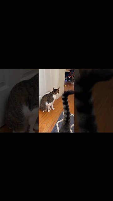 Charmy cleaning the baby