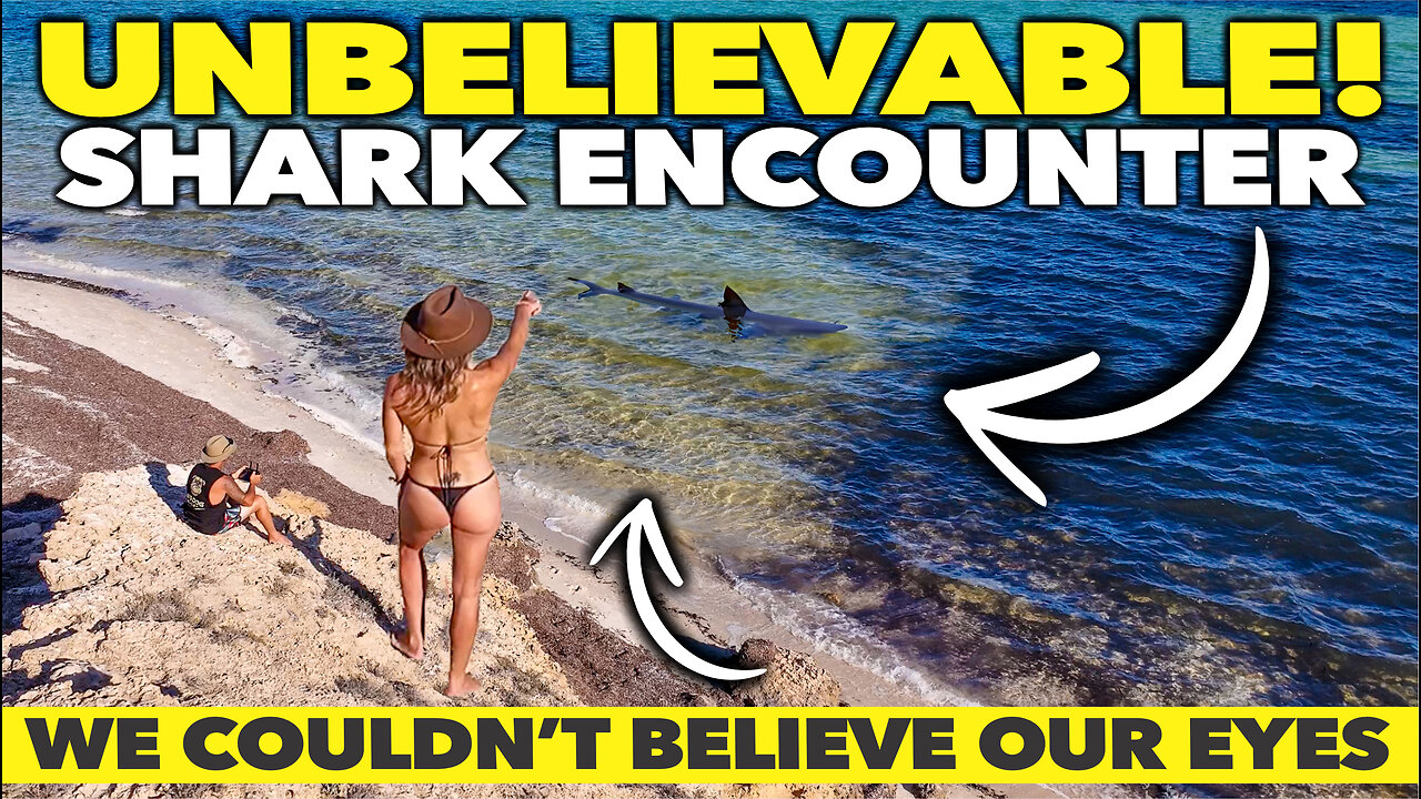 🦈 GOULET BLUFF AND EAGLE BLUFF, SHARK BAY | SO MANY SHARKS!! | DO NOT SWIM HERE!! | TRAVEL VLOG