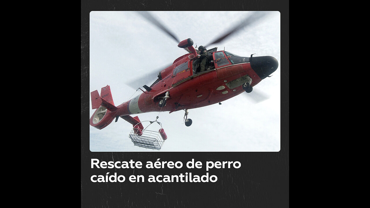 Un perro es salvado desde el aire tras caer de acantilado