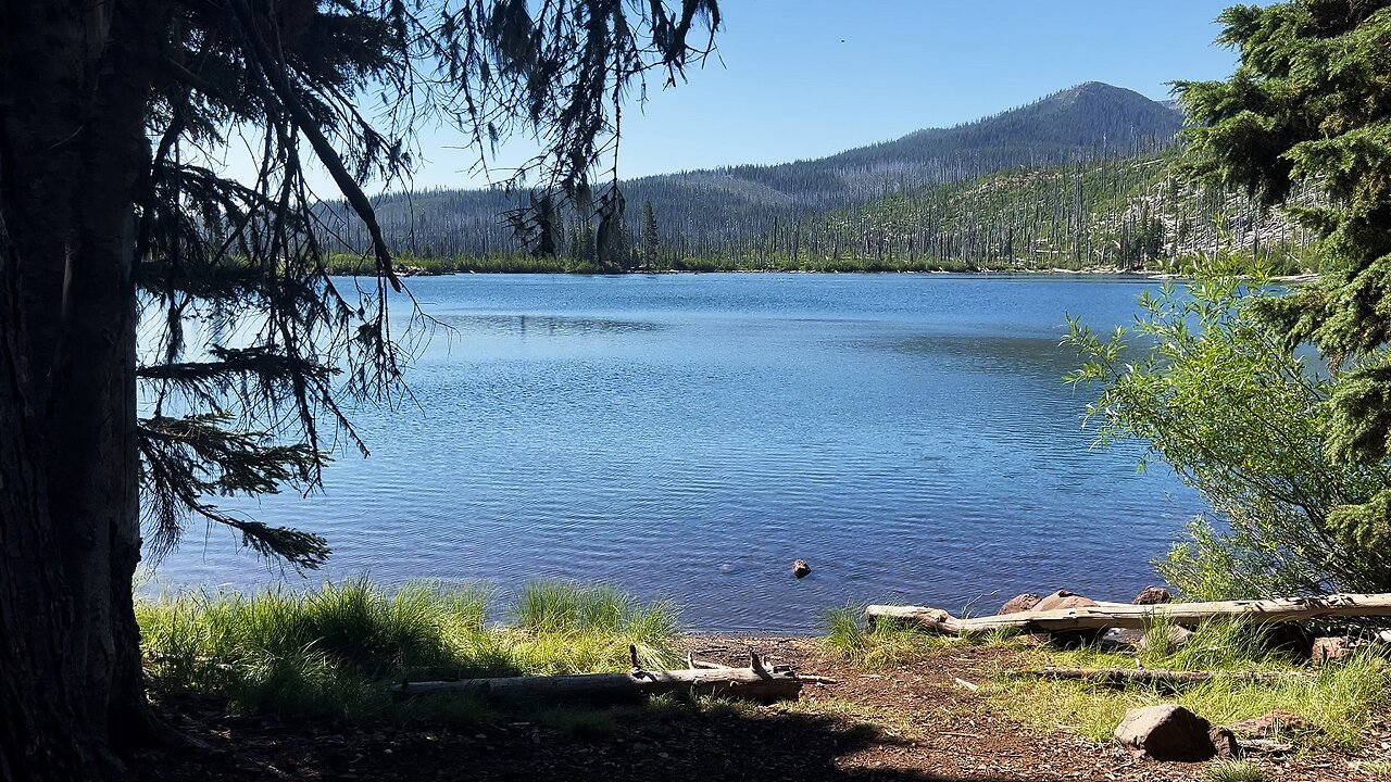 Leaving Wasco Lake Shoreline Hiking on Three Fingered Jack Loop! | Canyon Creek | 4K | Oregon