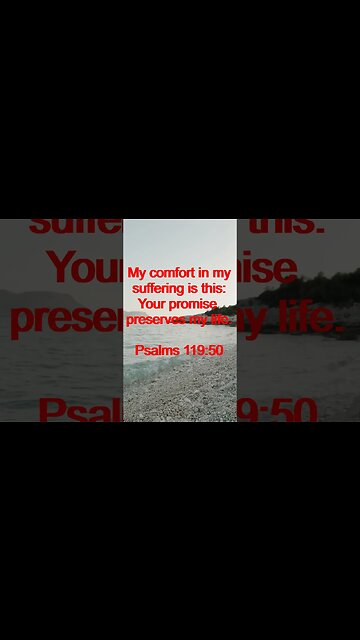 Verse of the day | Inspirational Reading To Start Your Day. | 41