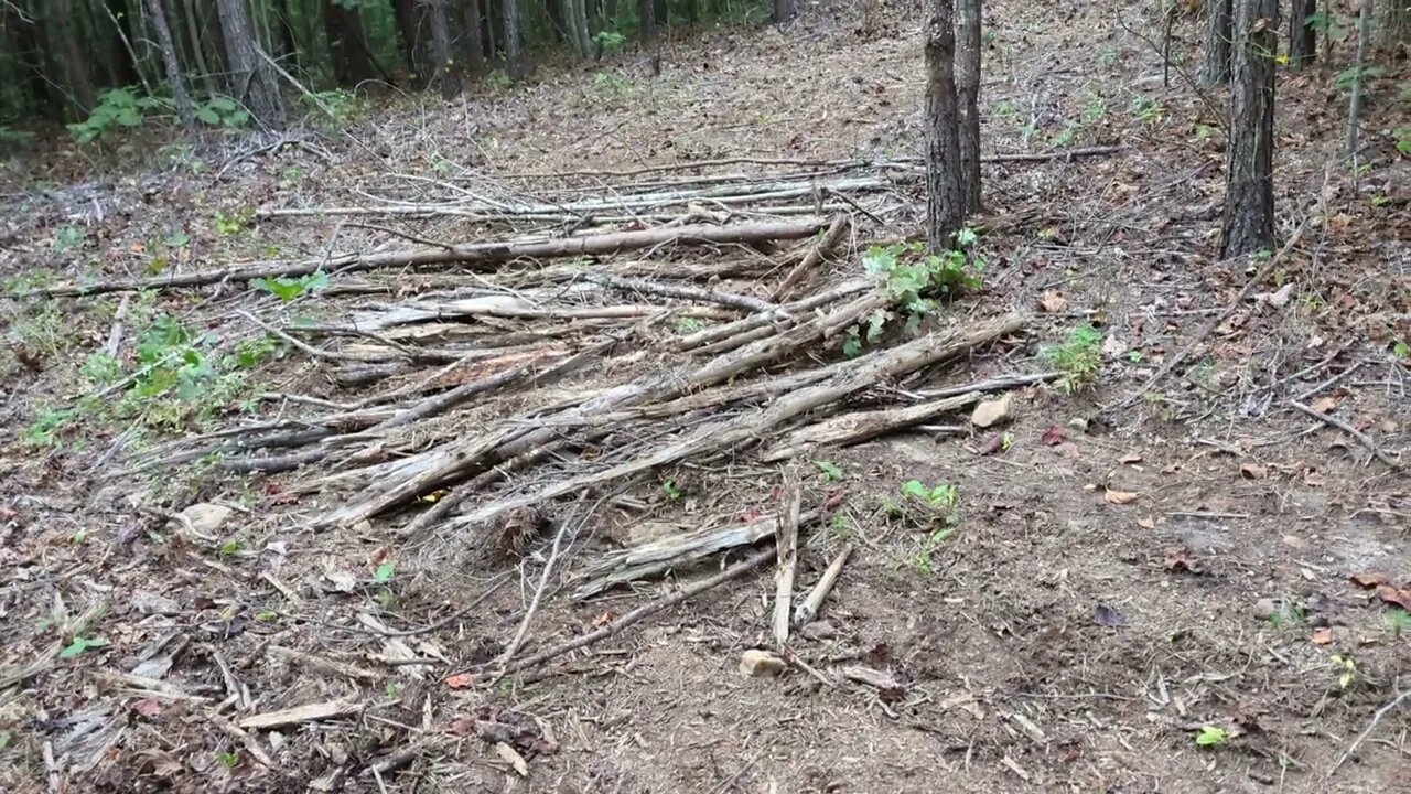 using brush to fix ATV trail damage