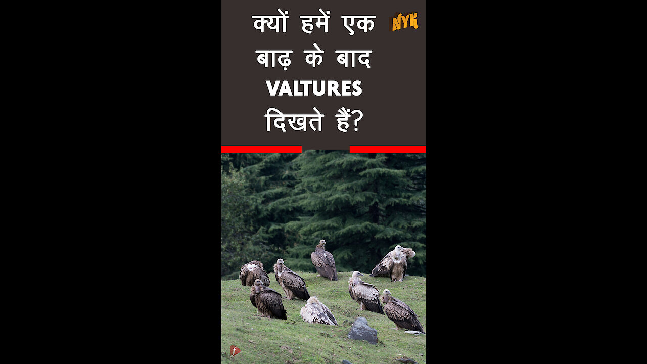 मेहतर किन्हे कहते है ? *