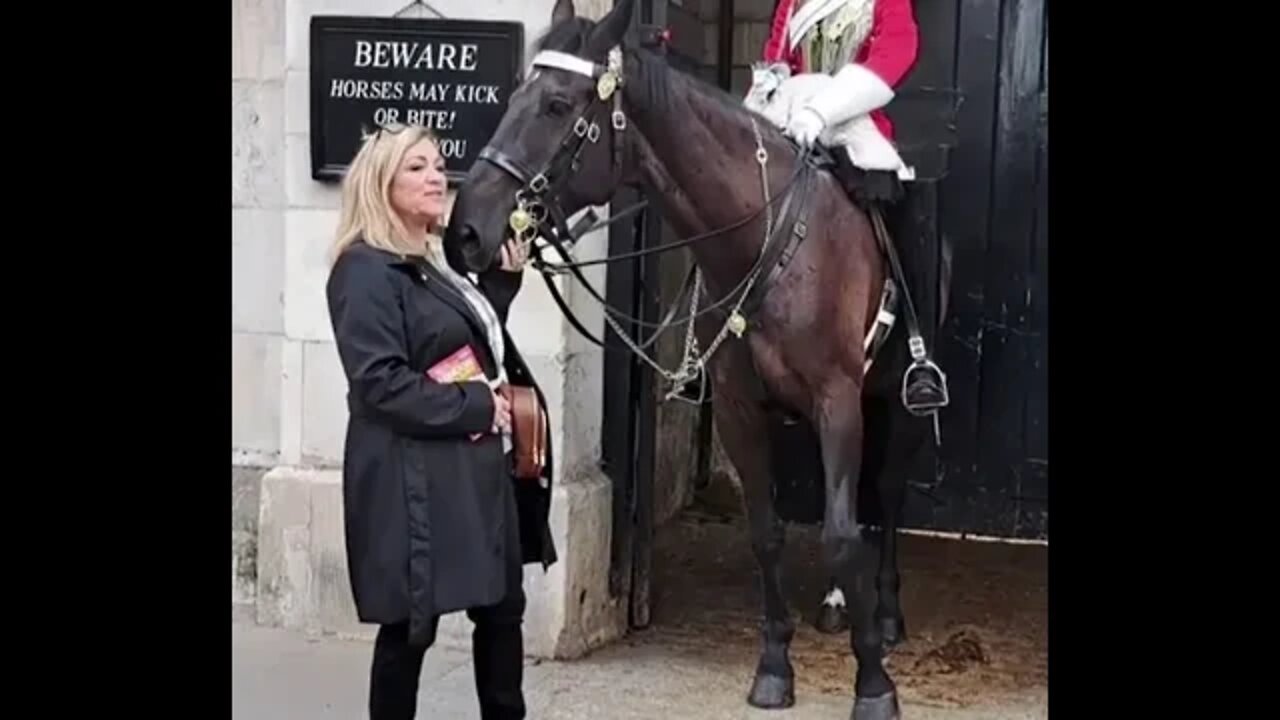 Kiss the Horse #horseguardsparade