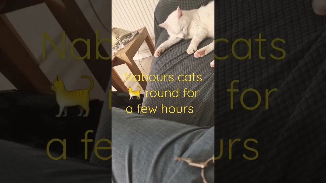 like 👍 and subscribe to my channel