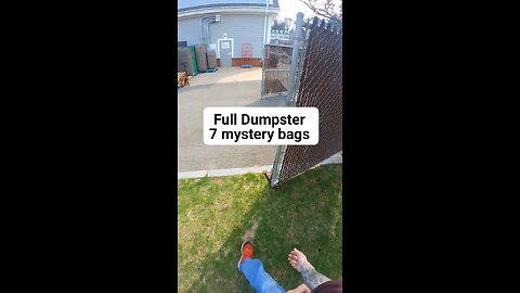 Full dumpster 7 mystery bags