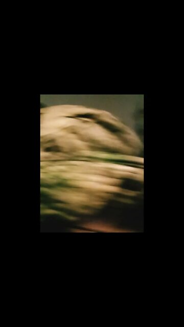 Grandpappys Star, Never Surrender, Never Forget...