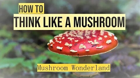 How to Think Like a Mushroom