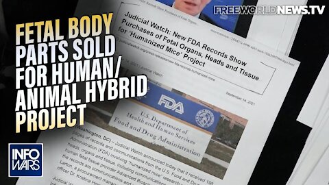 FDA Records: Fetal Body Parts Sold for Human Animal Hybrid Project