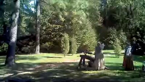 Williamsburg Virginia 2011 open up wide for these nuts lmfao